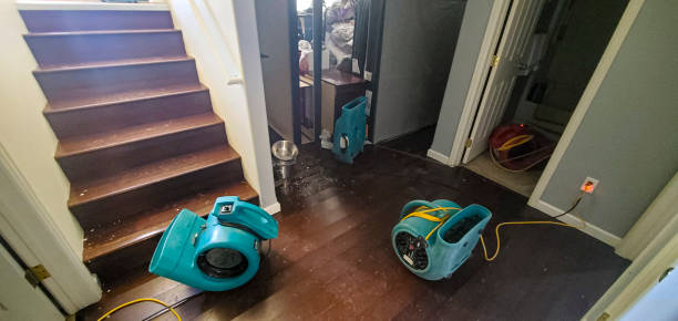 Best Water damage restoration mold remediation  in Mertzon, TX