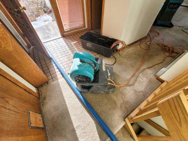 Best Residential water damage restoration  in Mertzon, TX