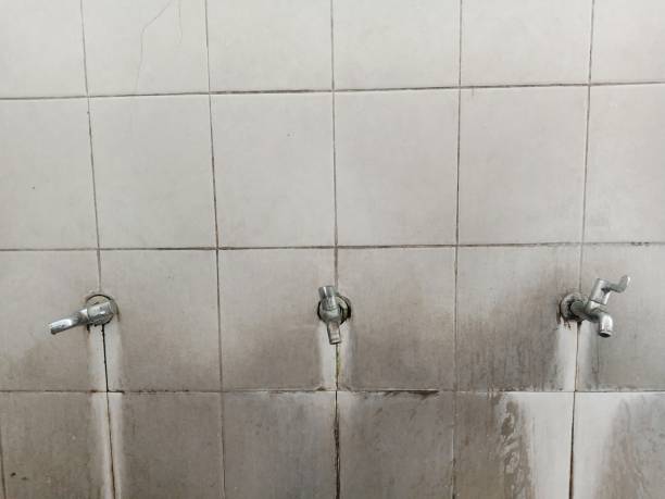 Best Water damage restoration near me  in Mertzon, TX