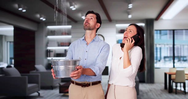 Best Basement water damage restoration  in Mertzon, TX